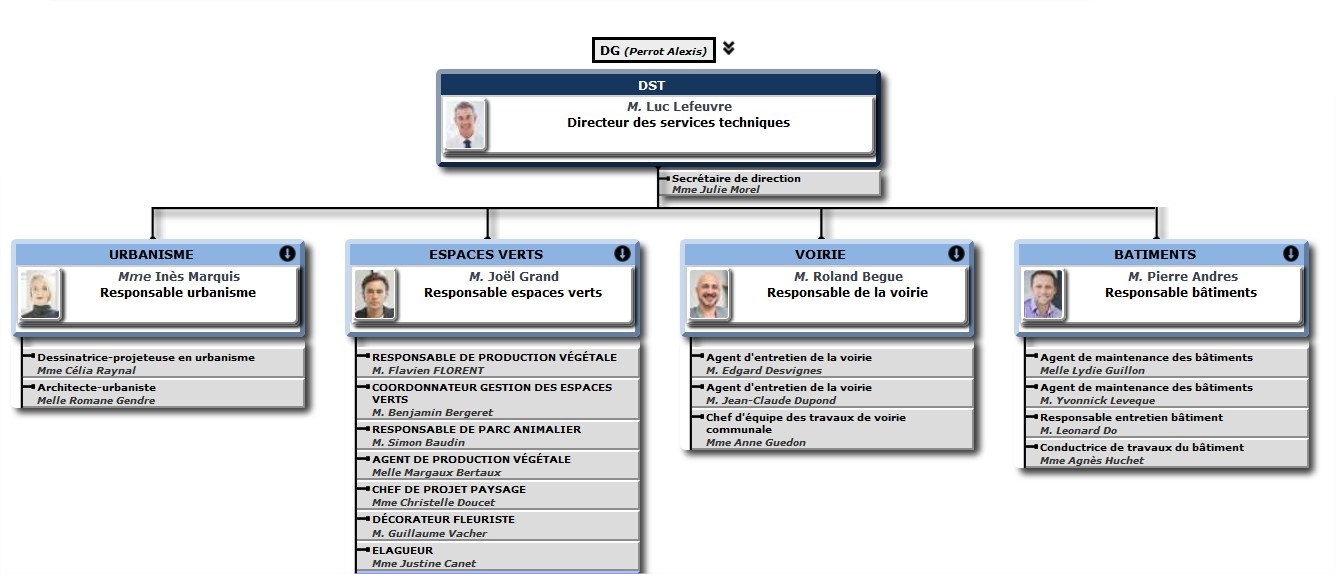 exemple organigramme